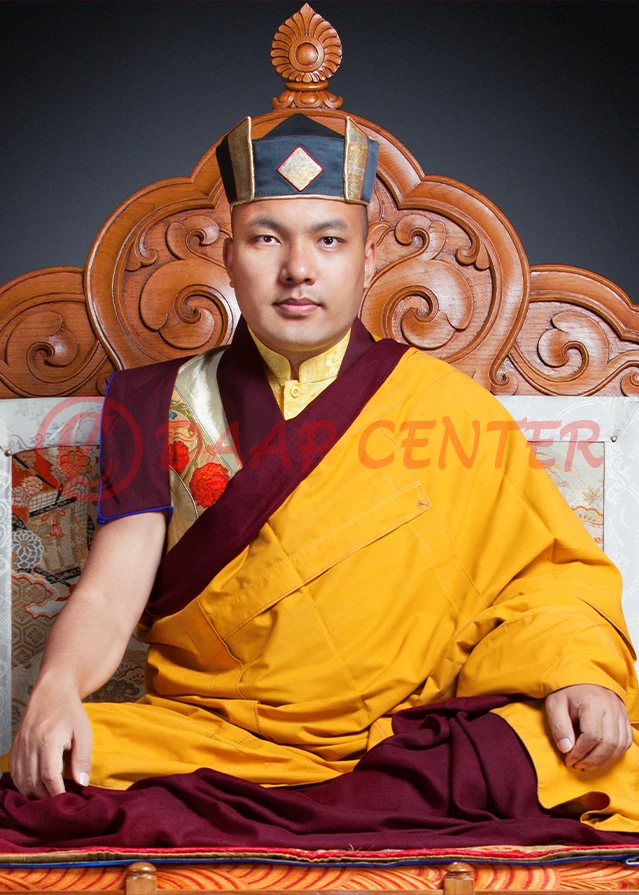 Orgyen Thrinley Dorje (17th Karmapa)